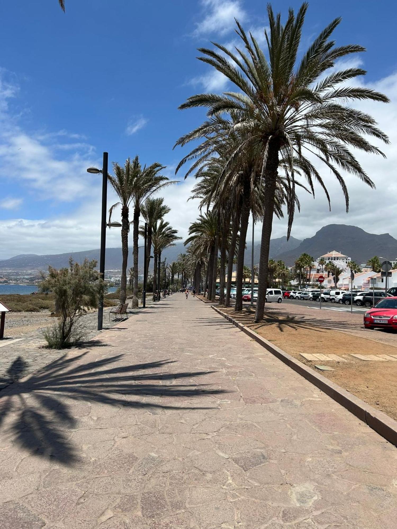 Parque Santiago 1 Lovely Apartment Playa de las Americas  Exterior photo